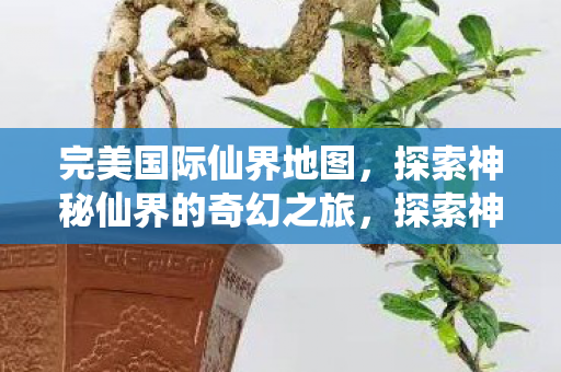 完美国际仙界地图奇幻之旅图片