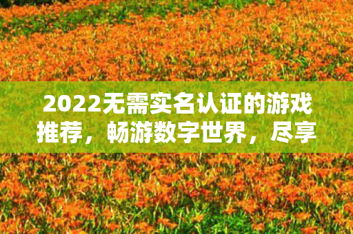 2022无需实名认证的游戏推荐，畅游数字世界，尽享游戏乐趣，2022年无需实名认证游戏推荐，畅游数字世界，尽享游戏乐趣