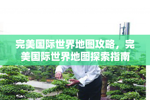 完美国际世界地图探索指南图片