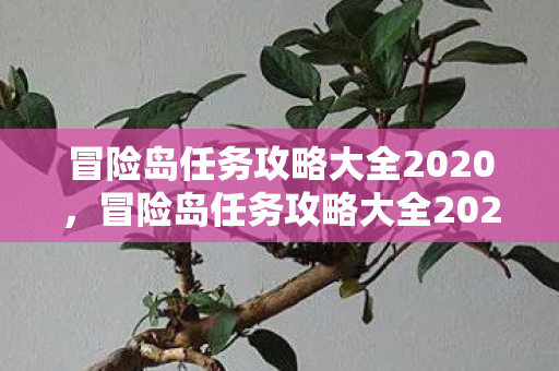 冒险岛任务攻略大全2020图片
