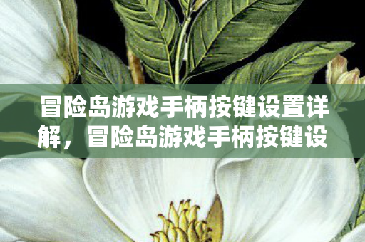 冒险岛游戏手柄按键设置全解析图片