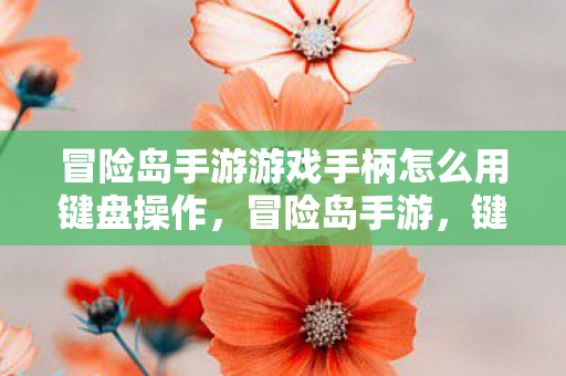 冒险岛手游游戏手柄怎么用键盘操作图片