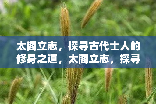 太阁立志,探寻古代士人的修身之道,太阁立志,探寻古代士人的修身之道 太阁立志,探寻古代士人的修身之道,太阁立志,探寻古代士人的修身之道