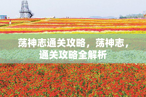 荡神志通关攻略，荡神志，通关攻略全解析