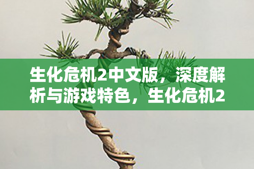 生化危机2中文版，深度解析与游戏特色，生化危机2中文版，深度解析与游戏特色