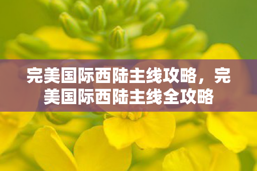 完美国际西陆主线攻略，完美国际西陆主线全攻略