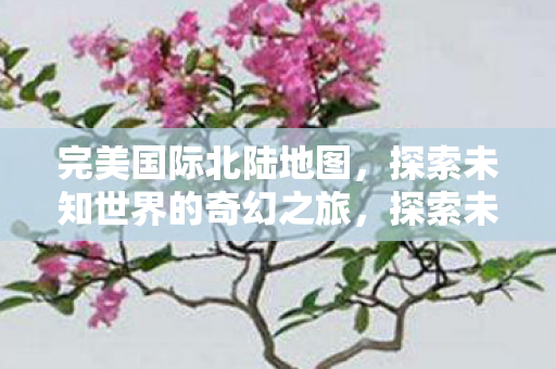 完美国际北陆地图，探索未知世界的奇幻之旅，探索未知世界的奇幻之旅，完美国际北陆地图