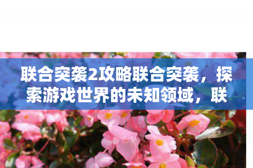 联合突袭2攻略联合突袭,探索游戏世界的未知领域,联合突袭2,探索游戏世界的未知领域攻略 联合突袭2攻略联合突袭,探索游戏世界的未知领域,联合突袭2,探索游戏世界的未知领域攻略