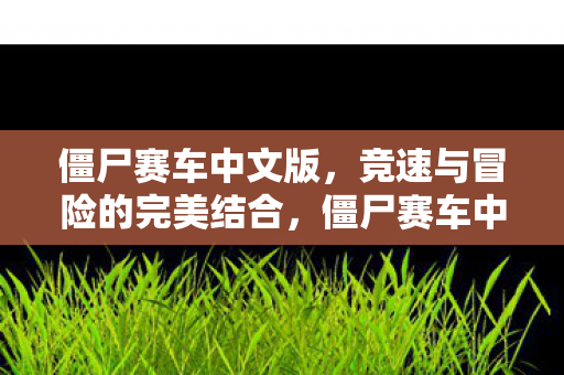 僵尸赛车中文版，竞速与冒险的完美结合，僵尸赛车中文版，竞速与冒险的激情碰撞