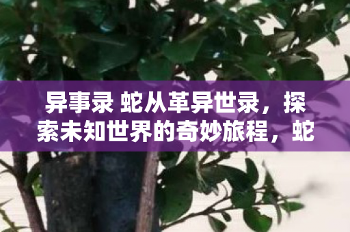 异事录 蛇从革异世录,探索未知世界的奇妙旅程,蛇从革异世录,探索未知世界的奇妙旅程 异事录 蛇从革异世录,探索未知世界的奇妙旅程,蛇从革异世录,探索未知世界的奇妙旅程