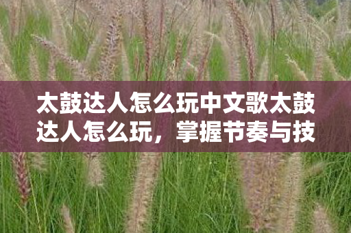 太鼓达人怎么玩中文歌太鼓达人怎么玩,掌握节奏与技巧的全面指南,太鼓达人怎么玩中文歌,掌握节奏与技巧的全面指南 太鼓达人怎么玩中文歌太鼓达人怎么玩,掌握节奏与技巧的全面指南,太鼓达人怎么玩中文歌,掌握节奏与技巧的全面指南