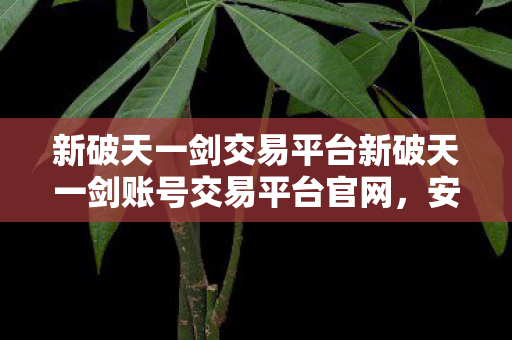 新破天一剑交易平台新破天一剑账号交易平台官网图片