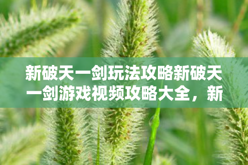 新破天一剑玩法攻略新破天一剑游戏视频攻略大全图片