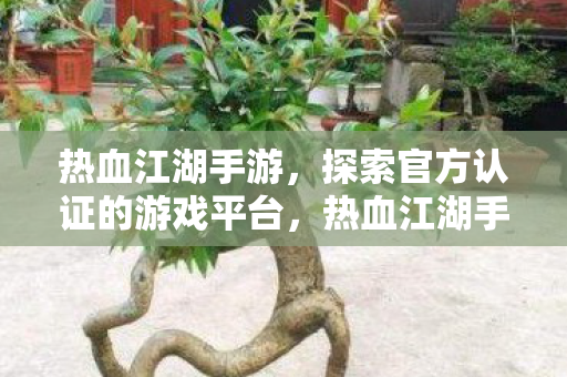 官方认证游戏平台等你来探索图片