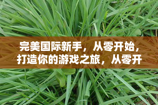 完美国际新手，从零开始，打造你的游戏之旅，从零开始，打造你的完美国际游戏之旅