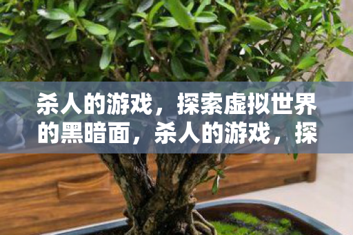 杀人的游戏，探索虚拟世界的黑暗面，杀人的游戏，探索虚拟世界的黑暗面