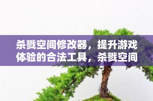 杀戮空间修改器,提升游戏体验的合法工具,杀戮空间修改器,提升游戏体验的合法工具 杀戮空间修改器,提升游戏体验的合法工具,杀戮空间修改器,提升游戏体验的合法工具