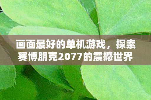画面最好的单机游戏,探索赛博朋克2077的震撼世界,赛博朋克2077,探索画面最惊艳的单机游戏世界 画面最好的单机游戏,探索赛博朋克2077的震撼世界,赛博朋克2077,探索画面最惊艳的单机游戏世界