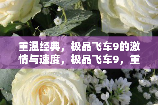 重温经典,极品飞车9的激情与速度,极品飞车9,重温经典,感受速度与激情的碰撞 重温经典,极品飞车9的激情与速度,极品飞车9,重温经典,感受速度与激情的碰撞
