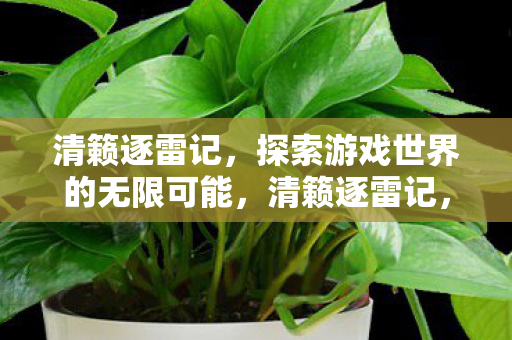 清籁逐雷记,探索游戏世界的无限可能,清籁逐雷记,探索游戏世界的无限可能 清籁逐雷记,探索游戏世界的无限可能,清籁逐雷记,探索游戏世界的无限可能