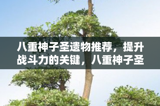 八重神子圣遗物推荐,提升战斗力的关键,八重神子圣遗物搭配指南,打造最强战斗力 八重神子圣遗物推荐,提升战斗力的关键,八重神子圣遗物搭配指南,打造最强战斗力