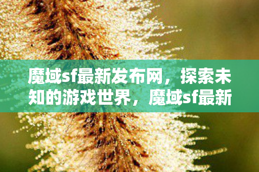 探索未知游戏世界的奇妙之旅图片