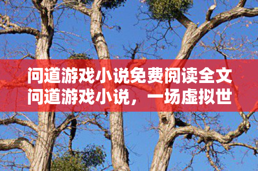 问道游戏小说免费阅读全文问道游戏小说图片