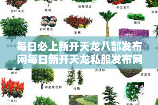 每日必上新开天龙八部发布网每日新开天龙私服发布网图片