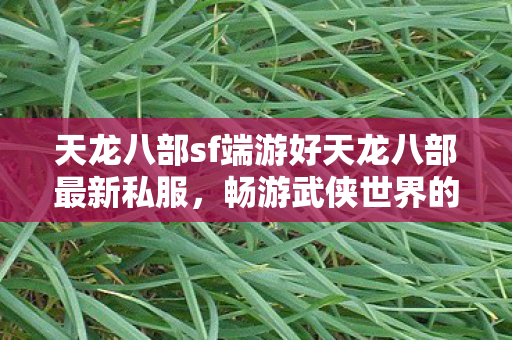 天龙八部sf端游好天龙八部最新私服，畅游武侠世界的全新选择，畅游武侠新纪元，天龙八部SF端游私服，开启你的江湖之旅
