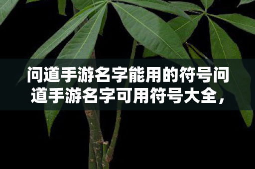 问道手游名字能用的符号问道手游名字可用符号大全图片