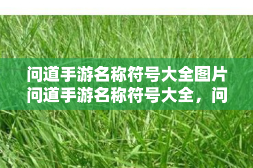 问道手游名称符号大全图片问道手游名称符号大全图片