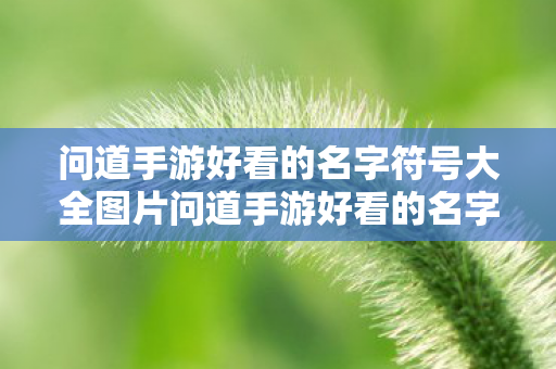 问道手游好看的名字符号大全图片问道手游好看的名字符号大全图片