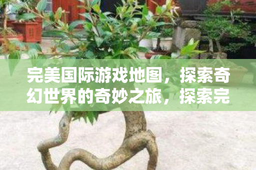 探索完美国际游戏地图的奇幻之旅图片