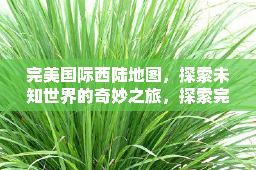 完美国际西陆地图,探索未知世界的奇妙之旅,探索完美国际西陆地图,开启未知世界的奇妙之旅 完美国际西陆地图,探索未知世界的奇妙之旅,探索完美国际西陆地图,开启未知世界的奇妙之旅