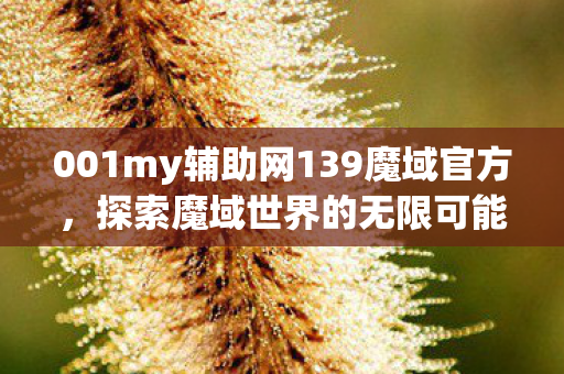 001my辅助网139魔域官方图片