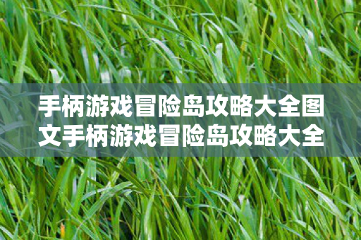 手柄游戏冒险岛攻略大全图文手柄游戏冒险岛攻略大全图片