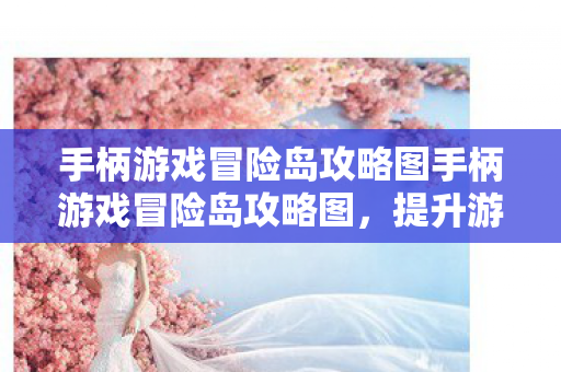 手柄游戏冒险岛攻略图手柄游戏冒险岛攻略图图片