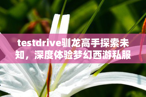 testdrive驯龙高手探索未知，深度体验梦幻西游私服与官方服务器的差异，驯龙高手探索梦幻西游，私服与官方服务器的差异体验