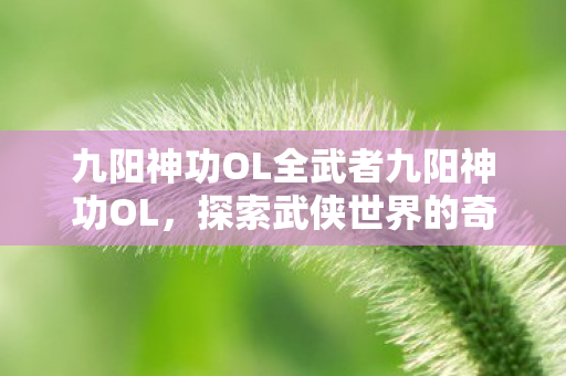 九阳神功OL全武者九阳神功OL，探索武侠世界的奇幻之旅，九阳神功OL，探索武侠世界的奇幻之旅