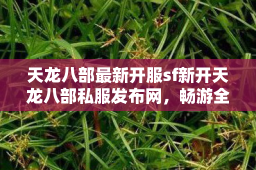 天龙八部最新开服sf新开天龙八部私服发布网图片