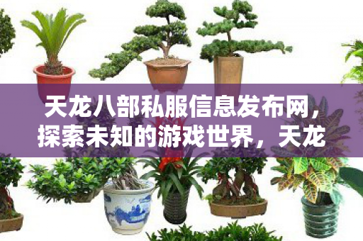 天龙八部私服信息发布网，探索未知的游戏世界，天龙八部私服探索，揭秘未知的游戏世界