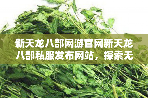 新天龙八部网游官网新天龙八部私服发布网站图片