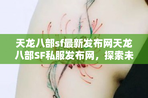 天龙八部sf最新发布网天龙八部SF私服发布网图片