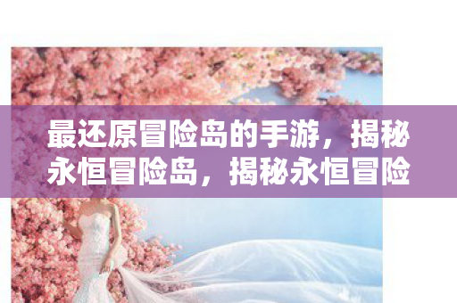 最还原冒险岛的手游,揭秘永恒冒险岛,揭秘永恒冒险岛,最还原冒险岛的手游 最还原冒险岛的手游,揭秘永恒冒险岛,揭秘永恒冒险岛,最还原冒险岛的手游