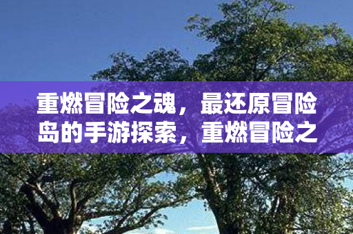 重燃冒险之魂,最还原冒险岛的手游探索,重燃冒险之魂,最还原冒险岛的手游探索 重燃冒险之魂,最还原冒险岛的手游探索,重燃冒险之魂,最还原冒险岛的手游探索