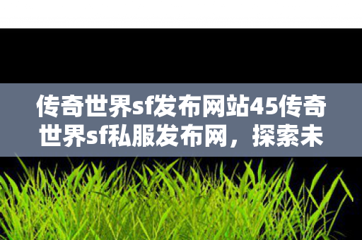 传奇世界sf发布网站45传奇世界sf私服发布网图片