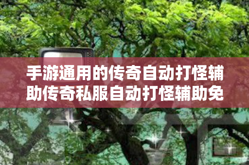 手游通用的传奇自动打怪辅助传奇私服自动打怪辅助免费版，提升游戏体验的利器，传奇私服自动打怪辅助，提升游戏体验的利器