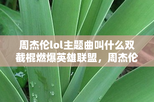 周杰伦lol主题曲叫什么双截棍燃爆英雄联盟，周杰伦的跨界音乐盛宴，周杰伦跨界献唱双截棍燃爆英雄联盟