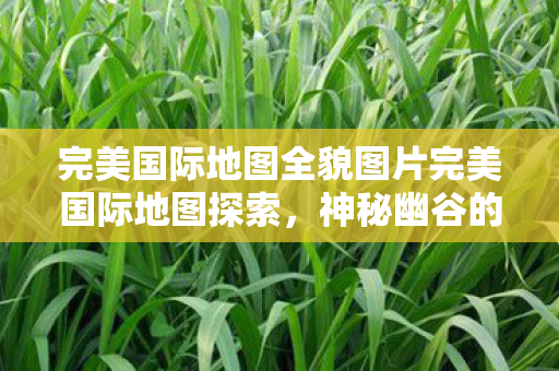 完美国际地图全貌图片完美国际地图探索图片