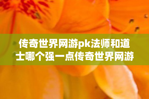 传奇世界网游pk法师和道士哪个强一点传奇世界网游PK图片